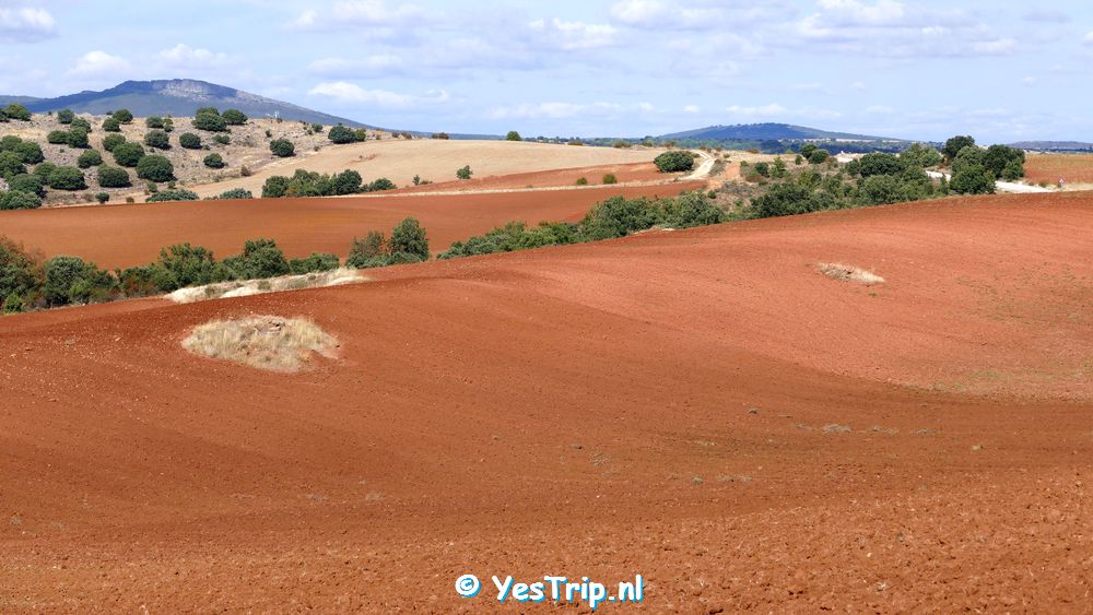 xxx Baraona to Jadraque